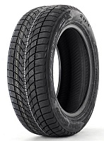 Шины 205/55 R16 Rapid BlueSnow 91V
