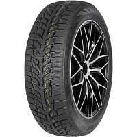 Шины 165/65 R14 Autogreen Snow Chaser 2 AW08 79T